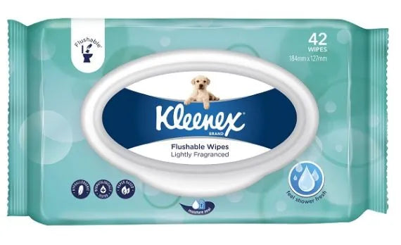 Kleenex Flushable Wipes Packet 42 Lightly Fragranced Topcat Healthcare