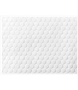 Coloplast Biatain Fiber (Box 10)