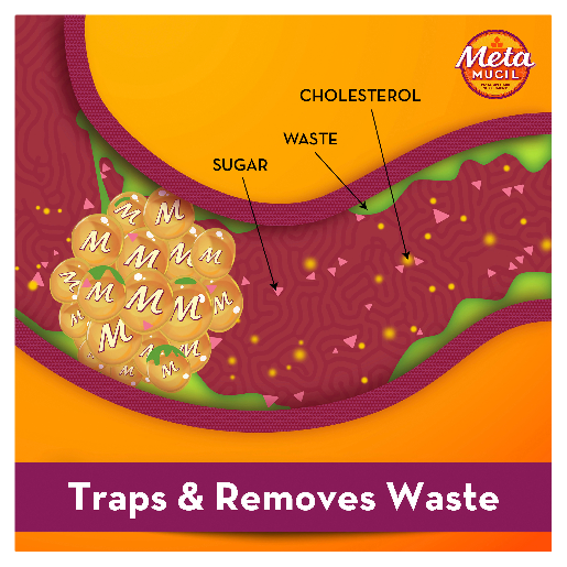 Metamucil Daily Lemon Lime Flavour 425gm