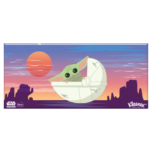 Kleenex Everyday Kids Facial Tissues 2 Ply