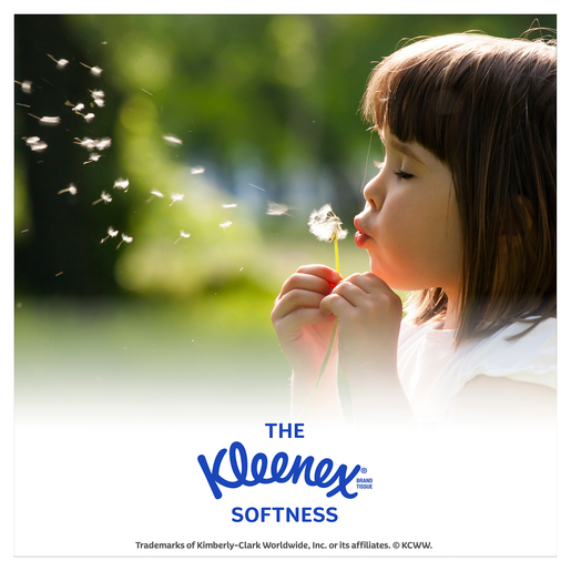Kleenex Everyday Kids Facial Tissues 2 Ply