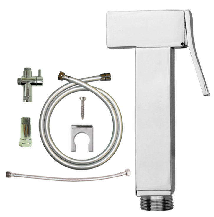 Modern Handspray + High Pressure Hose + Wall Bracket